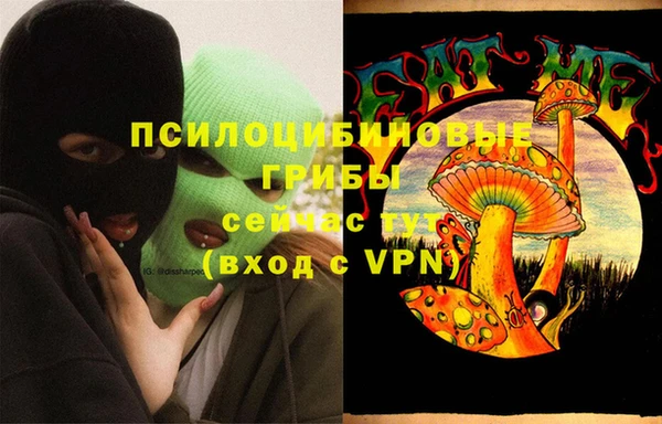 PSILOCYBIN Алзамай