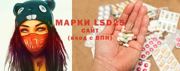 PSILOCYBIN Алзамай
