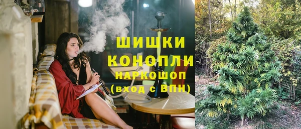 PSILOCYBIN Алзамай