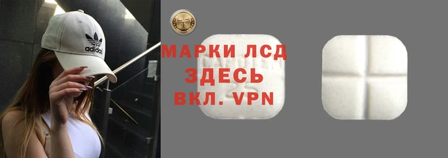спиды Алексеевка