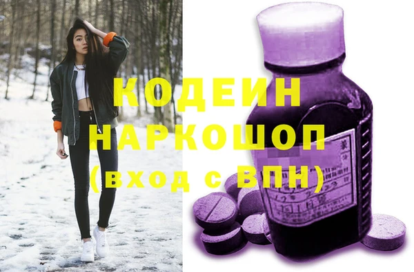PSILOCYBIN Алзамай