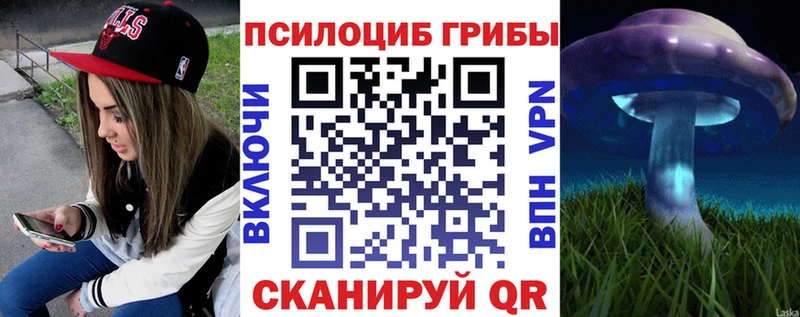 купить   блэк спрут вход  Псилоцибиновые грибы Cubensis  Островной 